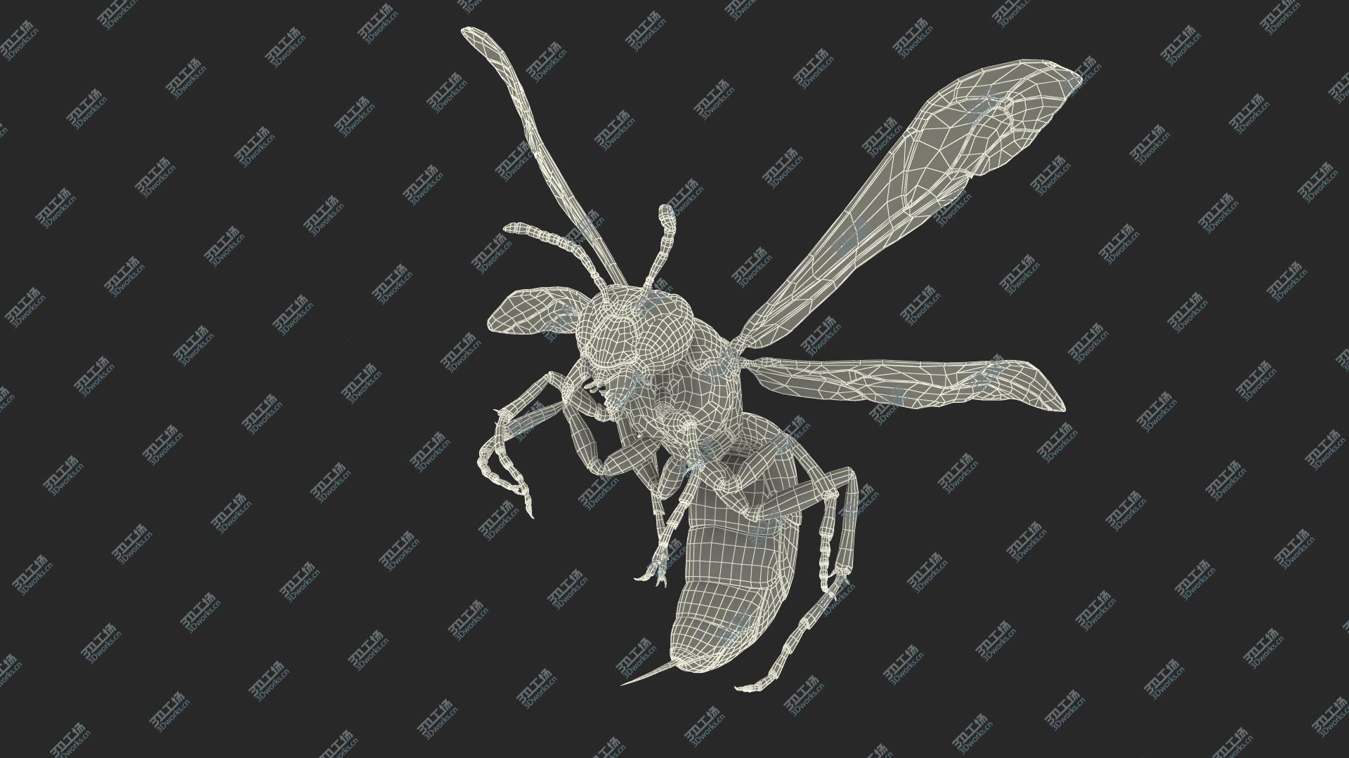 images/goods_img/202104093/Wasp Attacking Pose 3D model/3.jpg